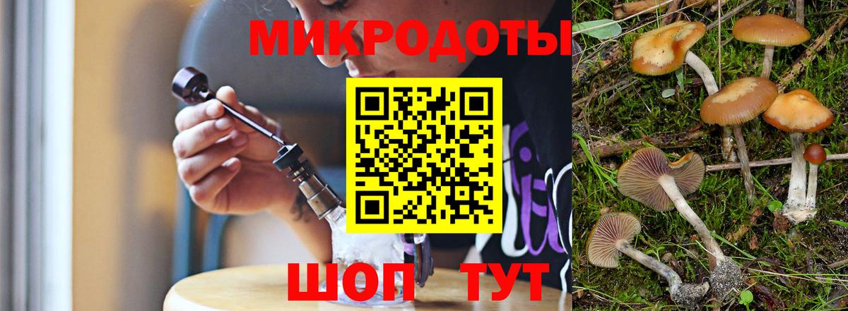 Галлюциногенные грибы Magic Shrooms  Вход с VPN  Полевской  где можно купить   Галлюциногенные грибы мухоморы 